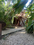 Photos des visiteurs hôtels Banana Beach Bungalows 60111 Santa Teresa (miniature)