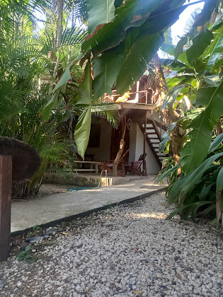 Photos des visiteurs hôtels Banana Beach Bungalows 60111 Santa Teresa