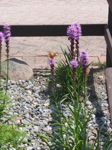 Water Park «Enchanted Forest Water Safari», reviews and photos, 3183 NY-28, Old Forge, NY 13420, USA