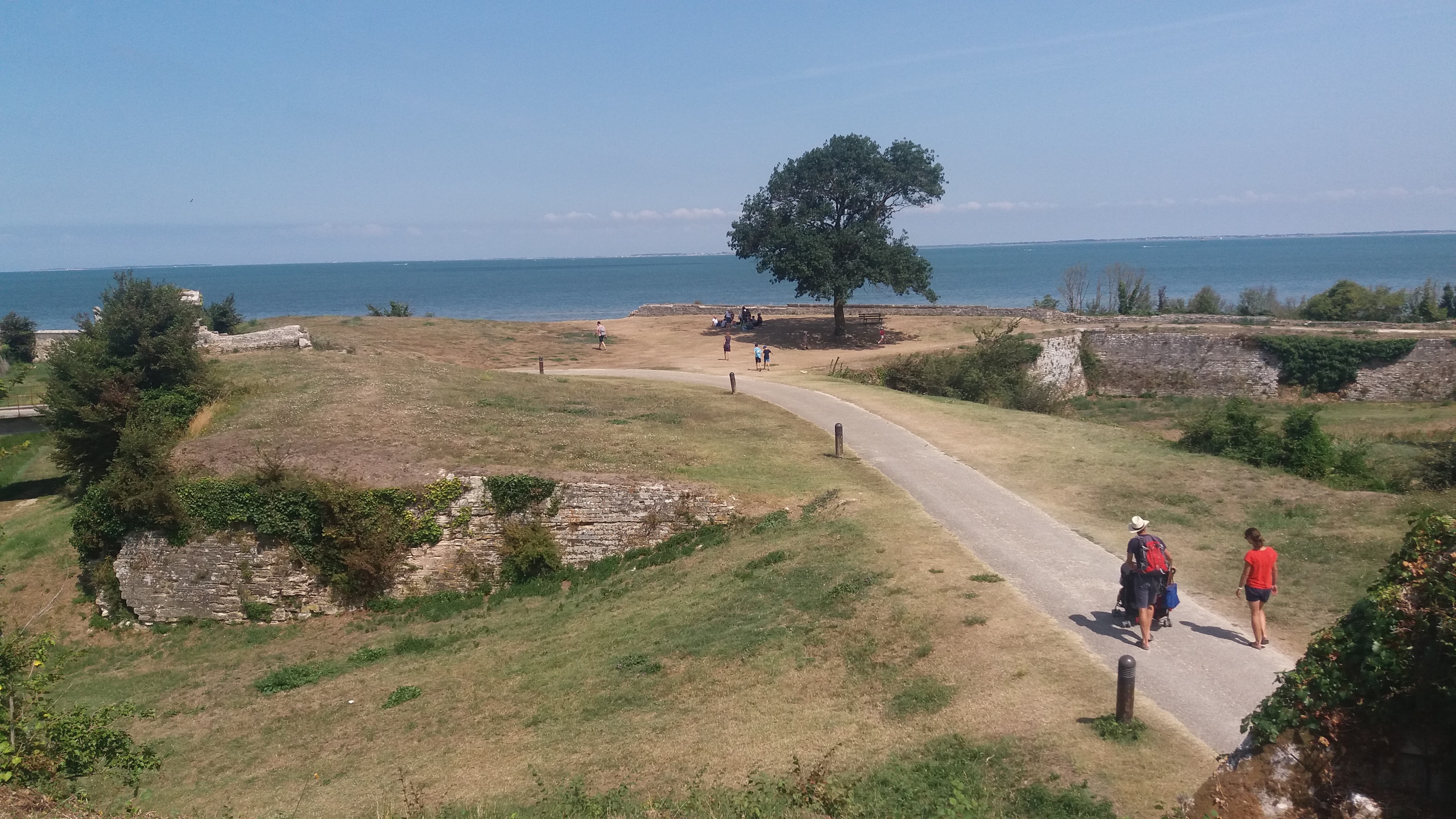 Photo n° 4 de l'avis de Lish. fait le 23/08/2018 à 16:11