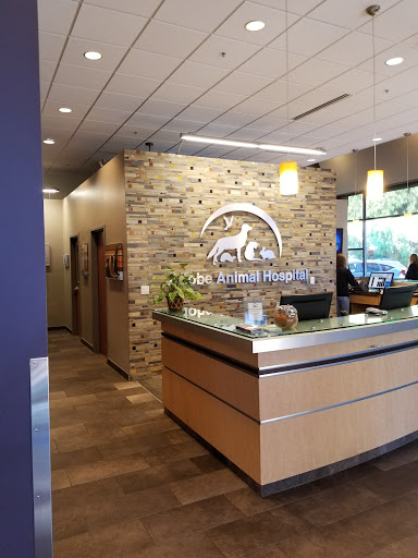 Adobe Animal Hospital image