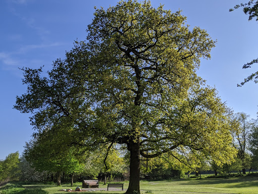 Millennium Green