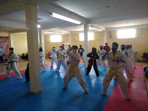 Club Panthers Taekwondo