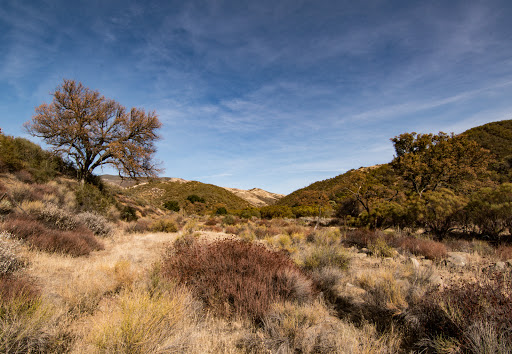 Gifford Trailhead