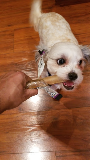 Pet Supply Store «Pet Supplies Plus», reviews and photos, 7007 Manchester Blvd, Franconia, VA 22310, USA