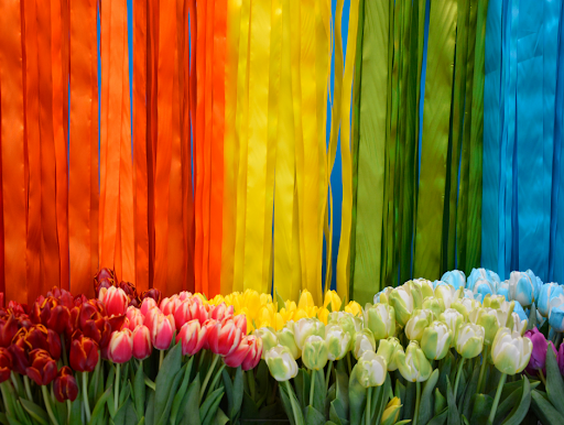 Florist «Joseph Genuardi Florist Inc», reviews and photos, 410 E Fornance St, Norristown, PA 19401, USA