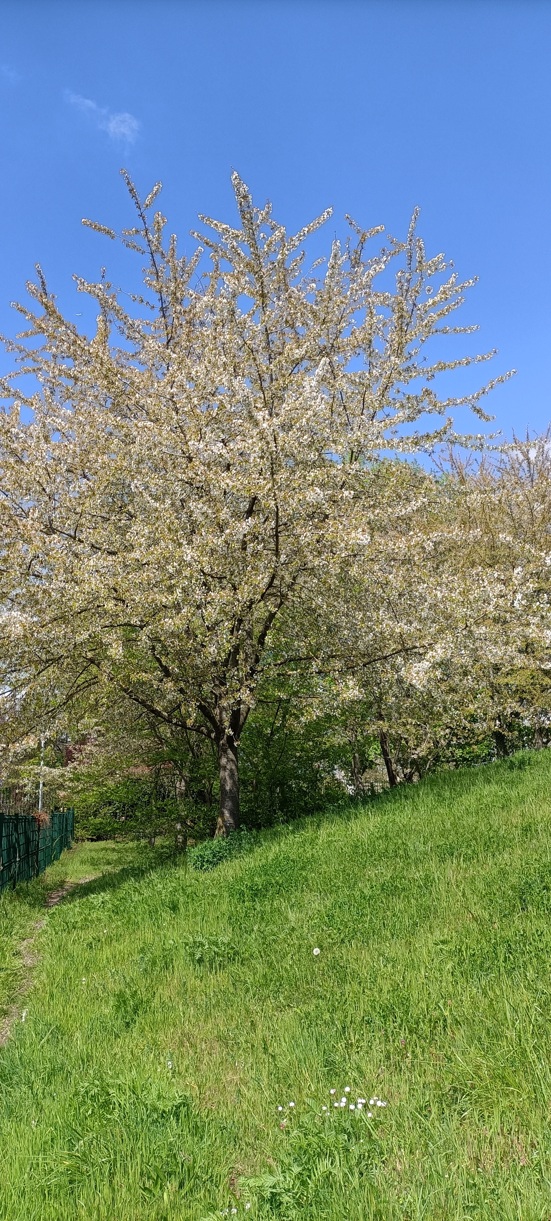 Photo n° 3 de l'avis de Seb.s fait le 19/04/2023 à 15:12
