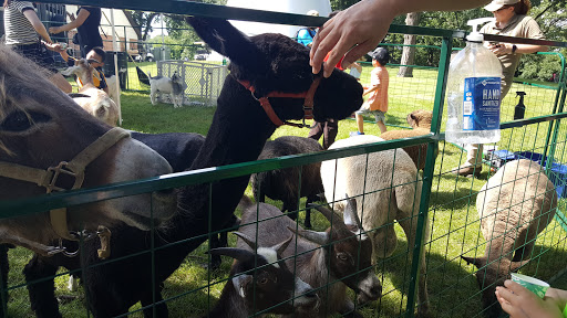 Park «Paulus Park», reviews and photos, 200 S Rand Rd, Lake Zurich, IL 60047, USA