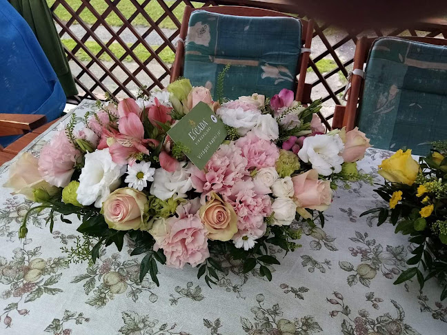 Hozzászólások és értékelések az Escada Virágküldés / Flower Delivery-ról