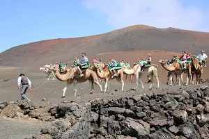 Camel Ride image