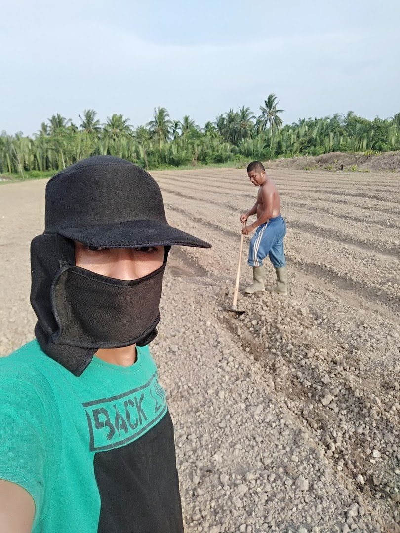 Gambar Dinas Pertanian Tanaman Pangan Kabupaten Aceh Utara