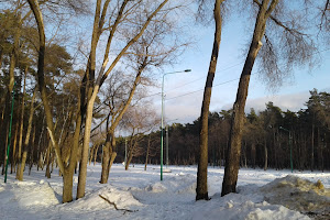 Park Metallurgov image