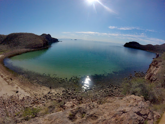 Catalina Bay beach