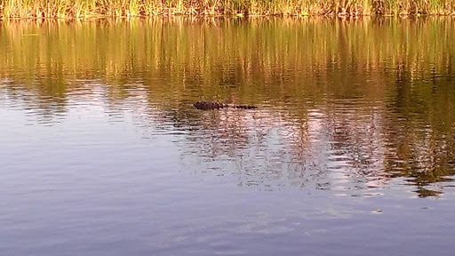 Nature Preserve «Chapel Trail Nature Preserve», reviews and photos, 19800 Sheridan St, Fort Lauderdale, FL 33332, USA