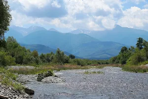 Cârțișoara River image