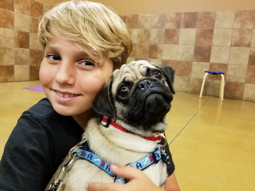 Pet Supply Store «PetSmart», reviews and photos, 21430 Wolf Rd, Mokena, IL 60448, USA