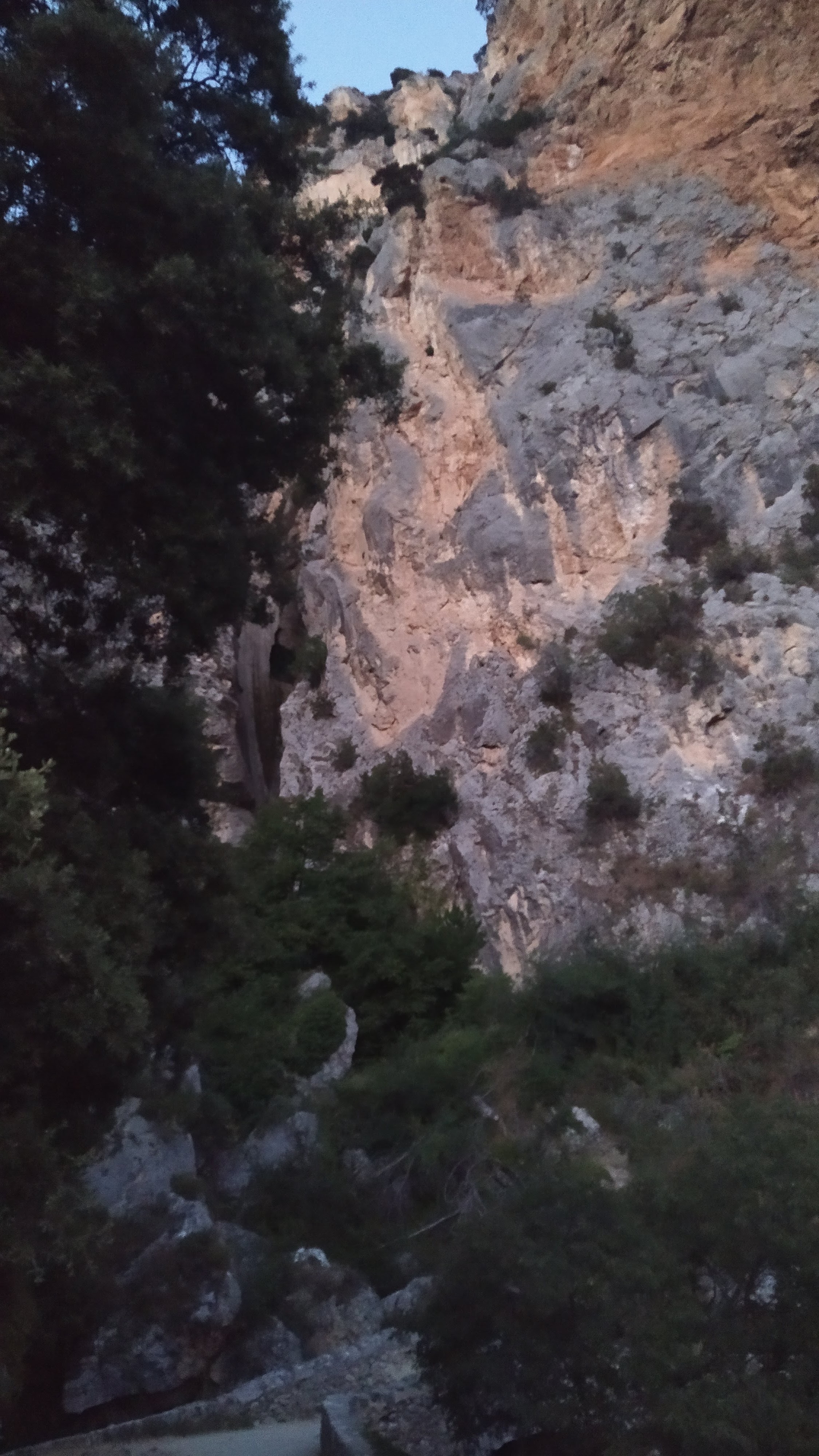 Photo n° 2 de l'avis de TaZx.a fait le 31/07/2020 à 20:34
