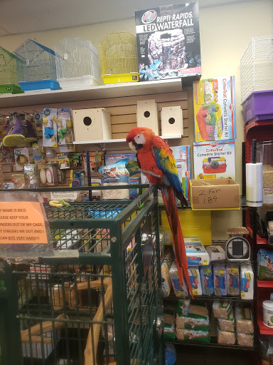 Pet Store «Paradise Fish and Pets», reviews and photos, 5344 FM 1960, Atascocita, TX 77346, USA