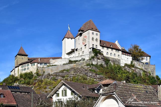 Rezensionen über Museum Schloss Burgdorf in Thun - Museum