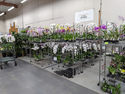 Florist «Portland Flower Market», reviews and photos, 3624 N Leverman St, Portland, OR 97217, USA