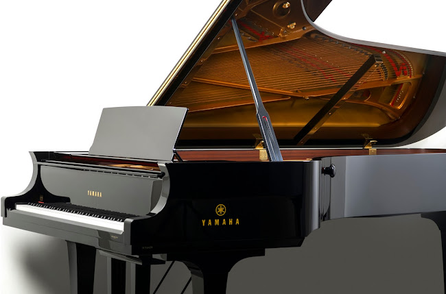 Beoordelingen van JS Piano's in Gent - Sportwinkel