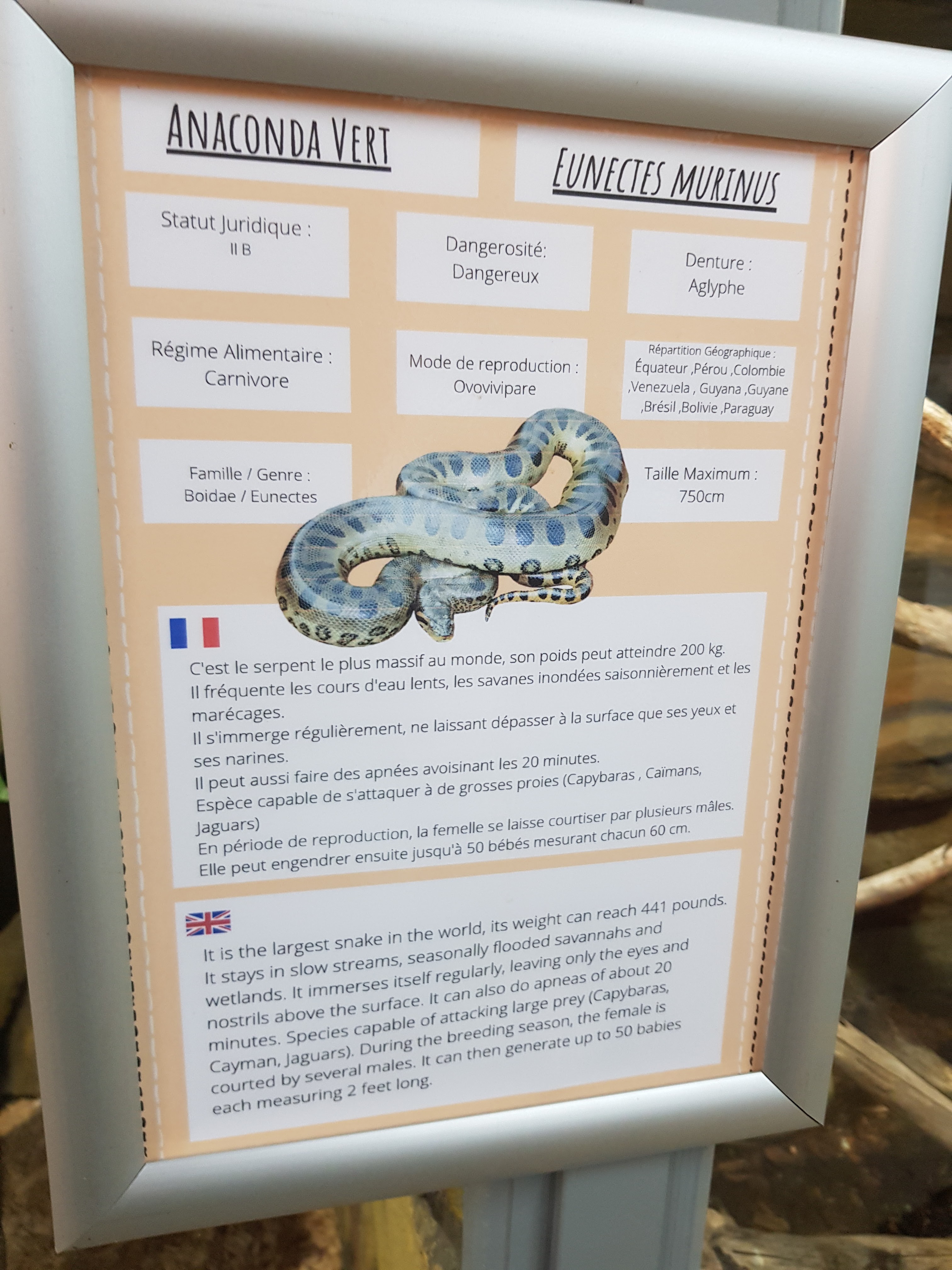 Photo n° 15 de l'avis de Lala.a fait le 24/08/2020 à 19:44