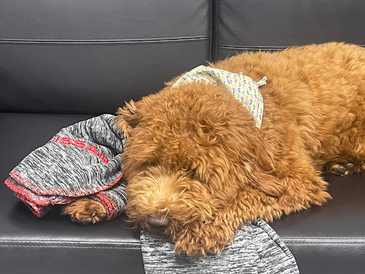 Nissan Dealer «Pat Peck Nissan - Gulfport», reviews and photos, 9480 US 49, Gulfport, MS 39503, USA