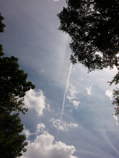 Nature Preserve «Tom S Cooperrider-Kent Bog State Nature Preserve», reviews and photos, 1028 Meloy Rd, Kent, OH 44240, USA