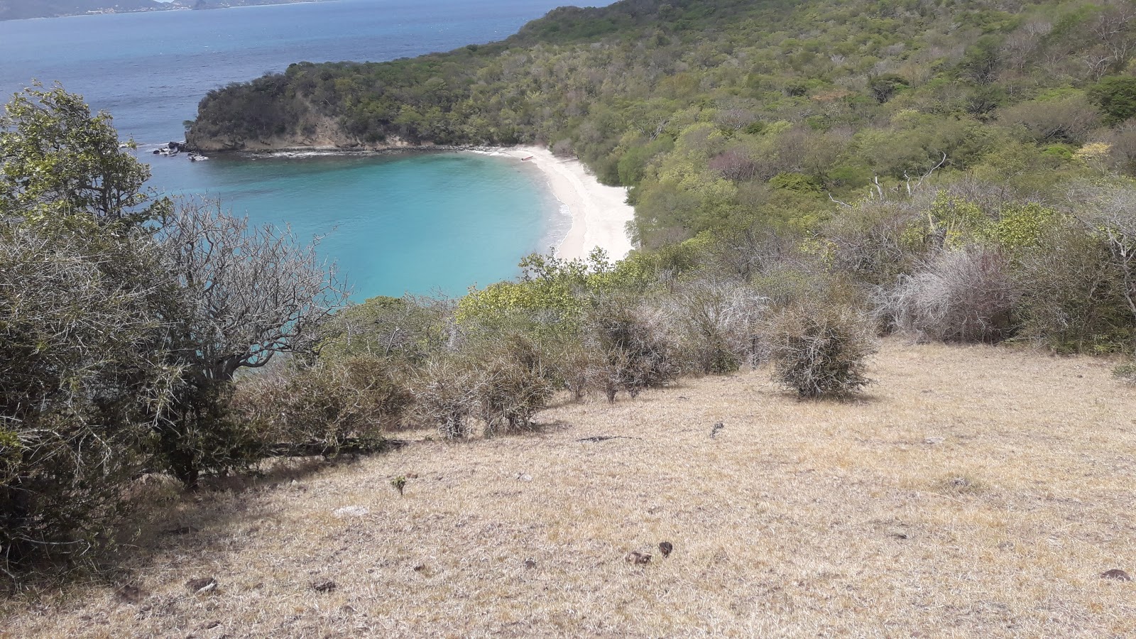 Anse La Roche Bay beach'in fotoğrafı dağlarla çevrili