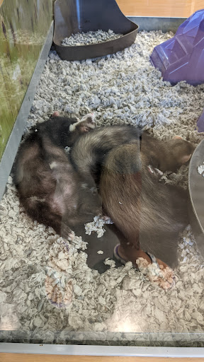 Pet Supply Store «Petco Animal Supplies», reviews and photos, 12444 NW 10th St #301, Yukon, OK 73099, USA