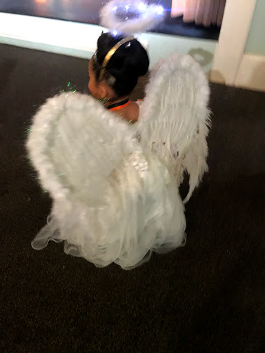 Event Venue «Commerce Civic Center», reviews and photos, 110 State St, Commerce, GA 30529, USA