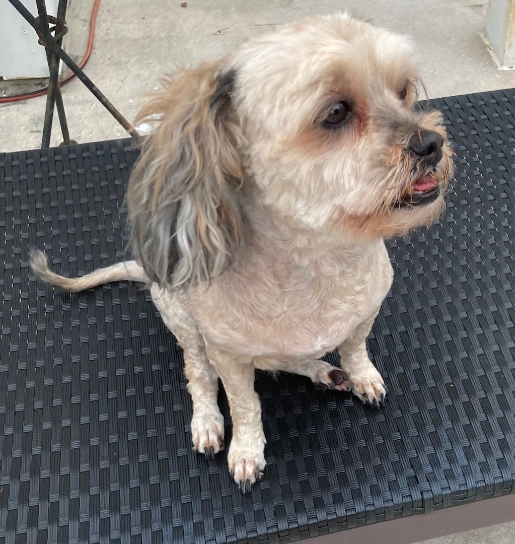 Bark N Park Mobile Grooming