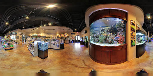 Tropical Fish Store «Fish Gallery», reviews and photos, 2909 Fountain View Dr, Houston, TX 77057, USA