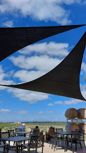 Winery «Hilmy Cellars - Vineyards, Winery & Tasting Room», reviews and photos, 12346 US-290, Fredericksburg, TX 78624, USA