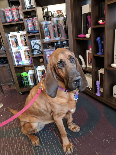 Boutique «SHAG... a sexy shop», reviews and photos, 108 Roebling St, Brooklyn, NY 11211, USA