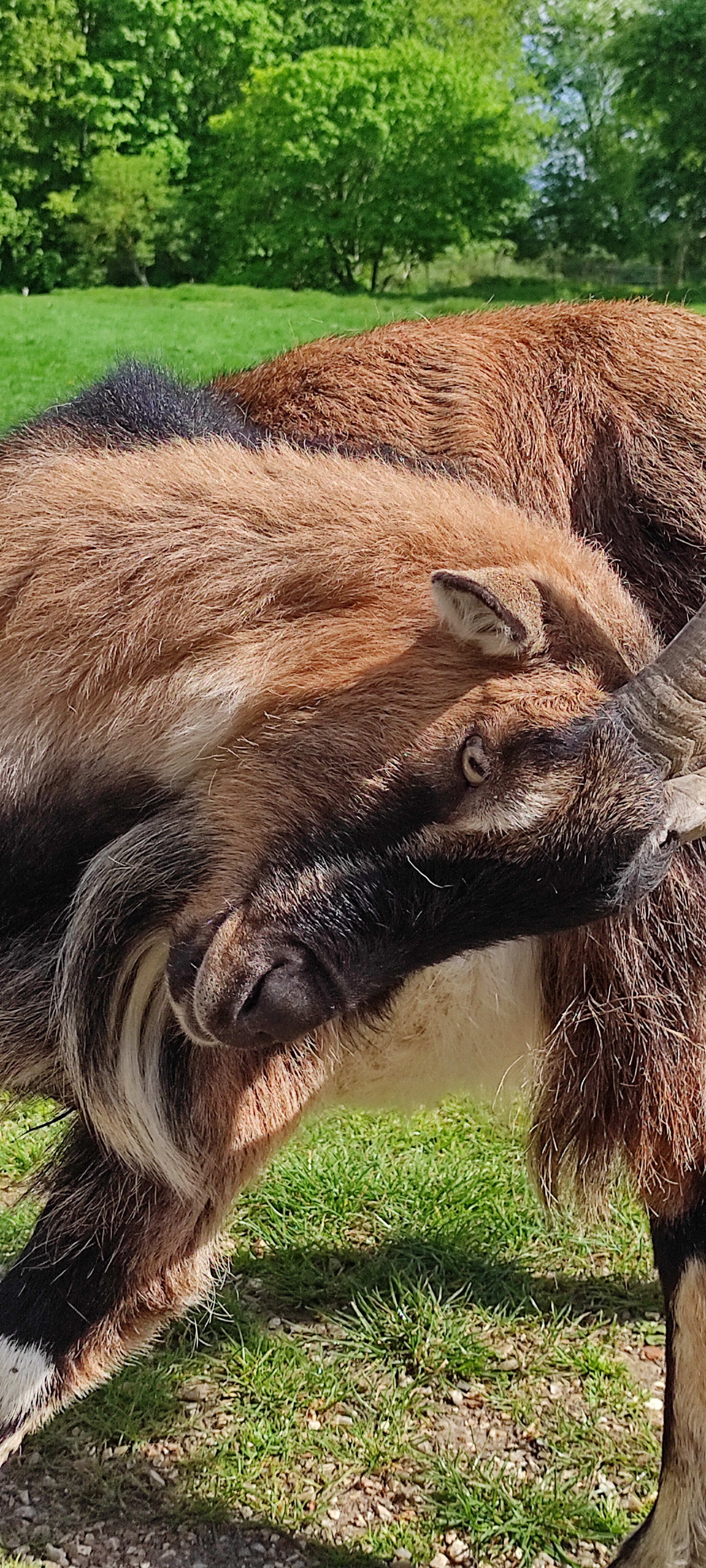 Photo n° 7 de l'avis de Philippe.i fait le 29/05/2023 à 07:26