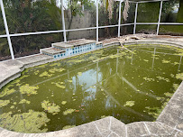Pool Service Pros - Photo 6 - Car repair in Riverview, FL, Tampa