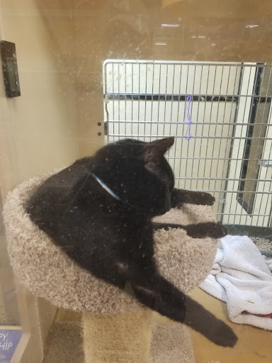 Pet Supply Store «PetSmart», reviews and photos, 16514 SW 88th St, Kendall, FL 33196, USA