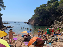 Photo de Cala d'Aigua Xelida situé dans une zone naturelle