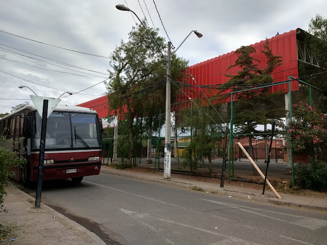 Opiniones de Buses Traparu en El Bosque - Servicio de transporte