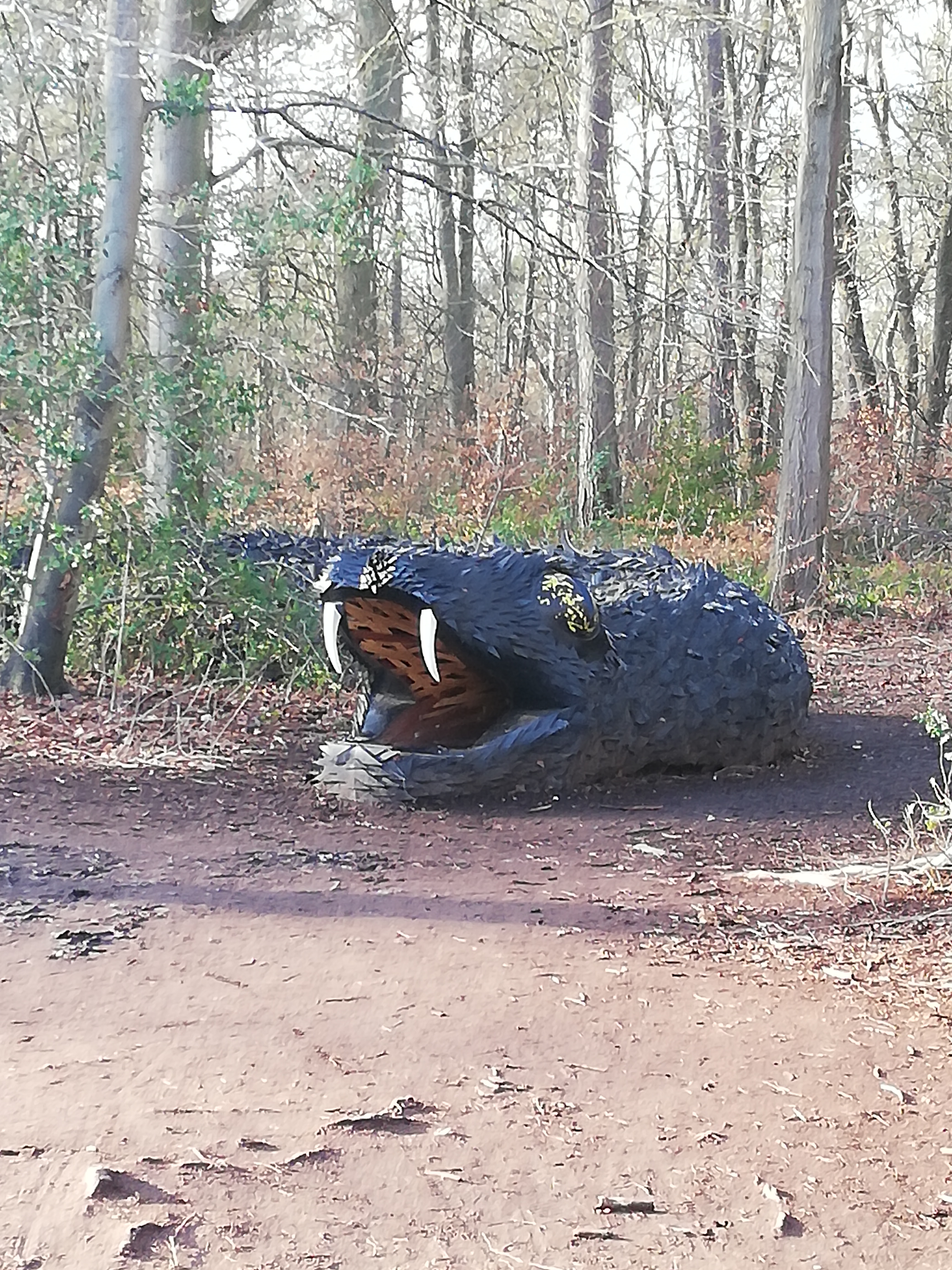 Photo n° 1 de l'avis de Stefan.o fait le 26/02/2020 à 18:33