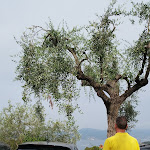 Photo n°8 de l'avis de Lenuta.o fait le 09/08/2022 à 13:21 sur le  Hotel il Nido à Lerici