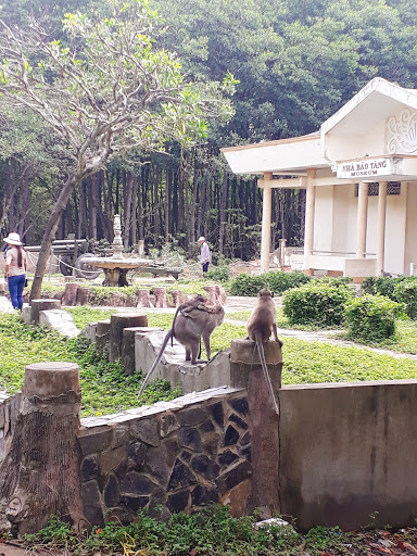 Top 20 cửa hàng tâm house Huyện Cần Giờ Hồ Chí Minh 2022