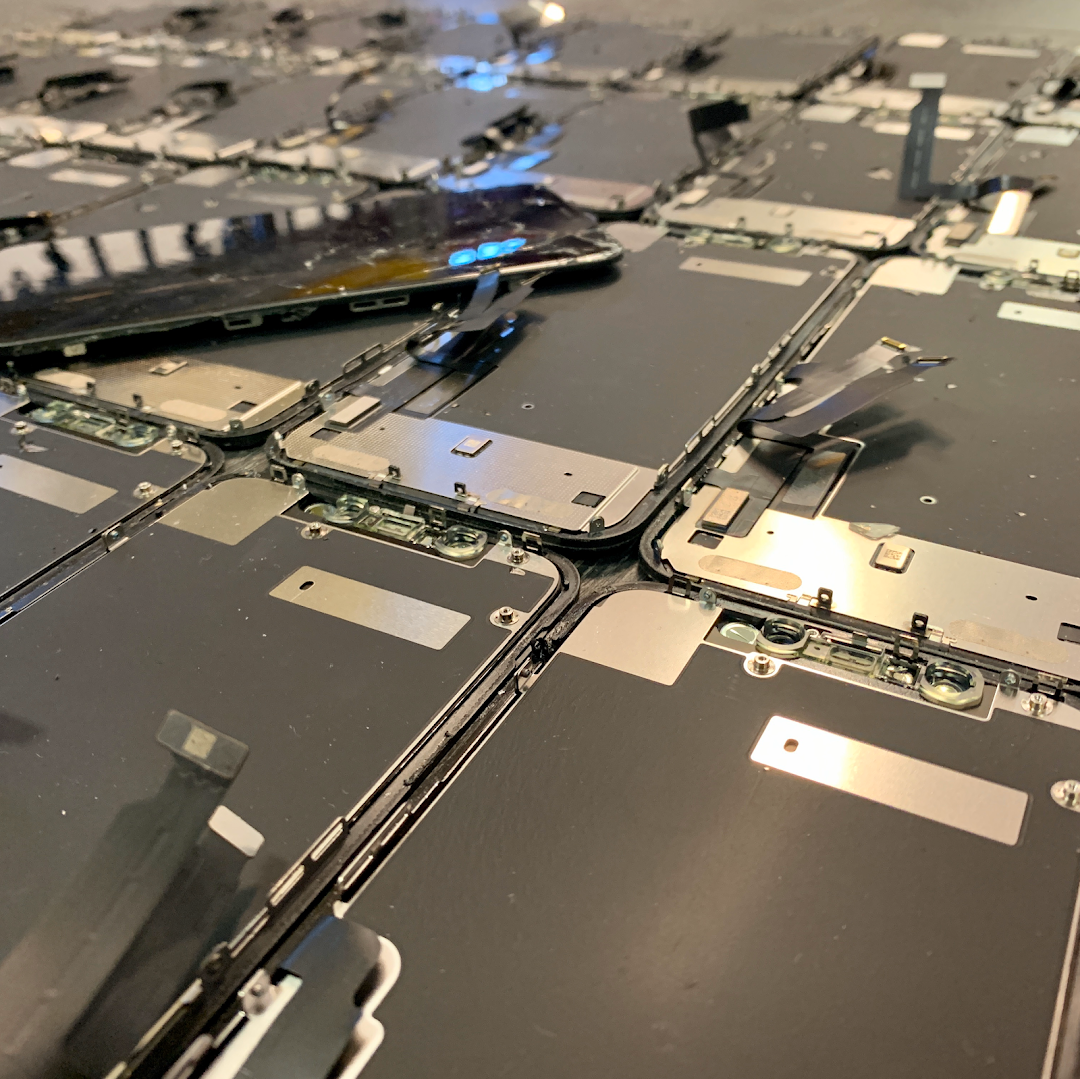 Fruit Fixed Charlottesville