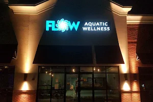 FLOW Aquatic Wellness image