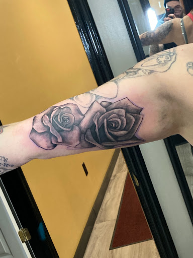 Explore parrot tattoo ideas, creative tattoo ideas in Nicholasville, available at Castle of Color