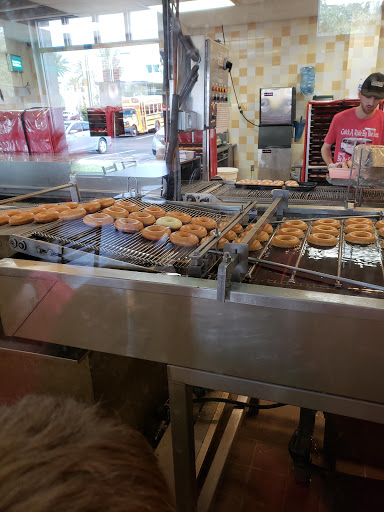 Museum «The Holy Land Experience», reviews and photos, 4655 Vineland Rd, Orlando, FL 32811, USA