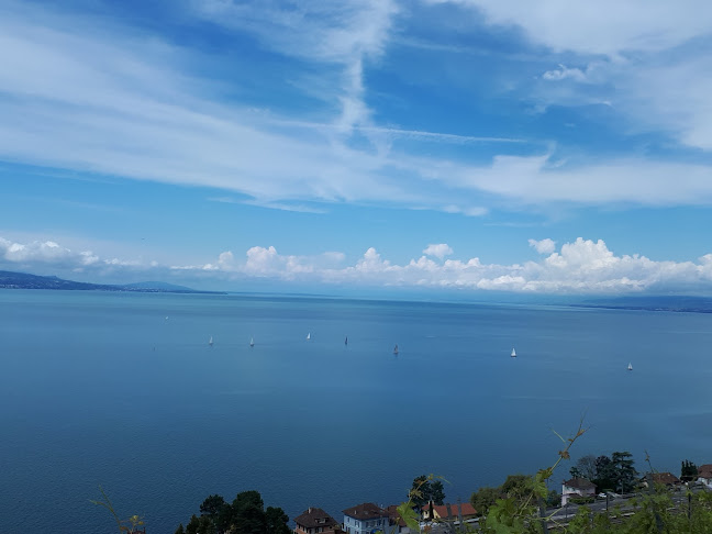 Rezensionen über Picnic area in Lausanne - Museum