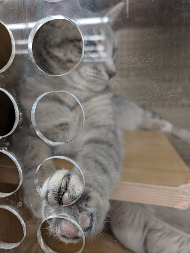 Pet Supply Store «Petco Animal Supplies», reviews and photos, 205 SE 5th St, Ames, IA 50010, USA