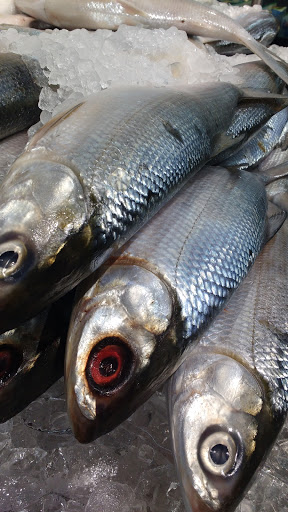 Asian Grocery Store «Island Pacific Supermarket», reviews and photos, 2110 Springs Rd, Vallejo, CA 94591, USA